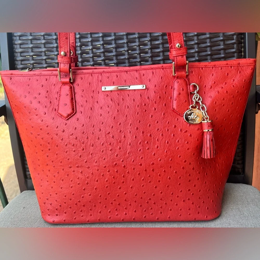NWT Brahmin SET FLAME ALLOVER OSTRICH Medium Asher & MiNI KAY Wallet